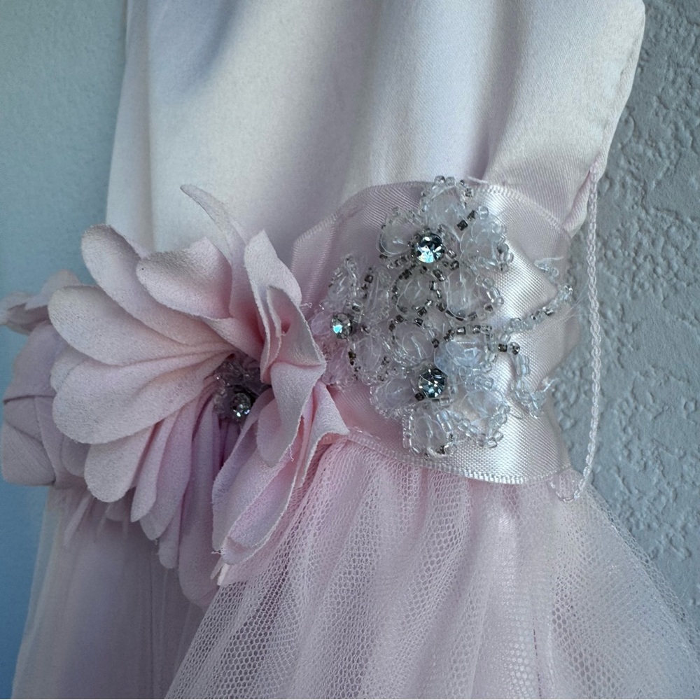 Chantilly Place Sleeveless Blush-Pink Floral Waist Tulle Gown for Girls. Size 5. - Picture 15 of 17